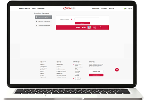 payment-on-website