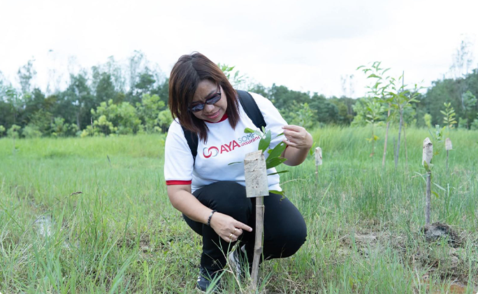 Every-Policy-Leaves-AMark-3