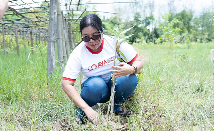 Every-Policy-Leaves-AMark-8